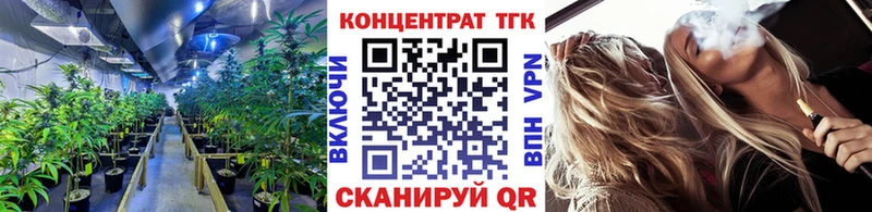 ТГК Wax  Купить  Бирюч 