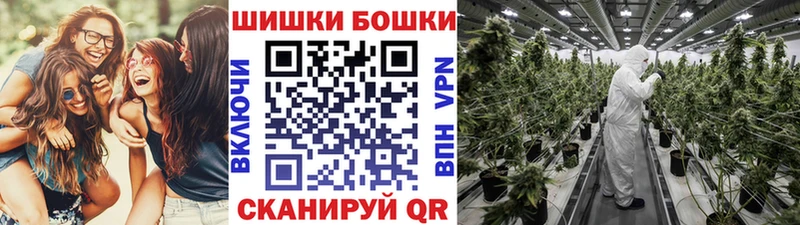 Бошки марихуана план  Купить  Бирюч 